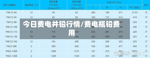 今日费电并铅行情/费电瓶铅费用-第2张图片