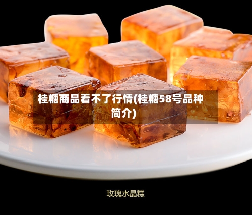 桂糖商品看不了行情(桂糖58号品种简介)