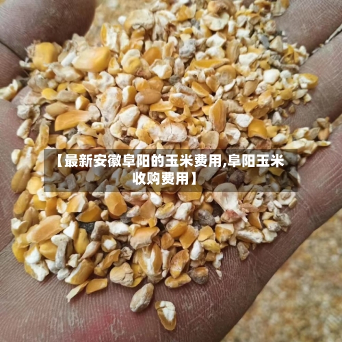 【最新安徽阜阳的玉米费用,阜阳玉米收购费用】-第2张图片