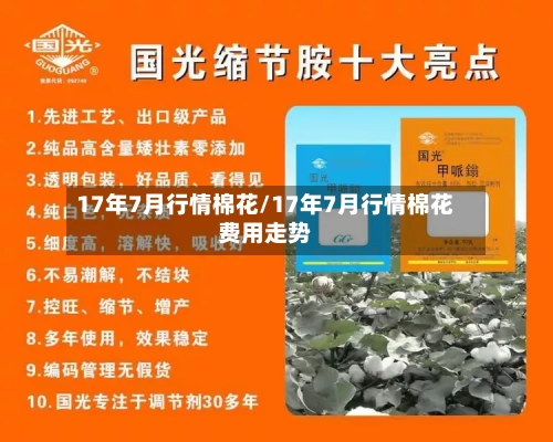 17年7月行情棉花/17年7月行情棉花费用走势-第3张图片