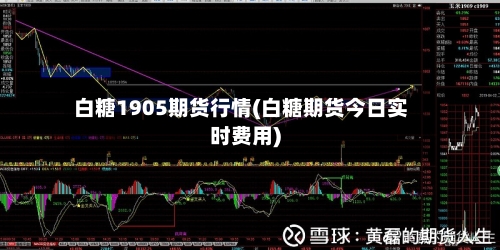 白糖1905期货行情(白糖期货今日实时费用)