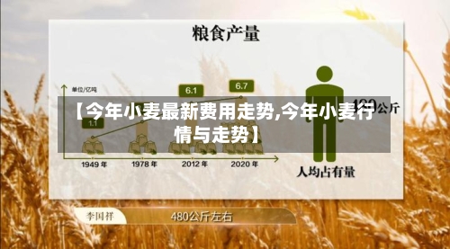 【今年小麦最新费用走势,今年小麦行情与走势】