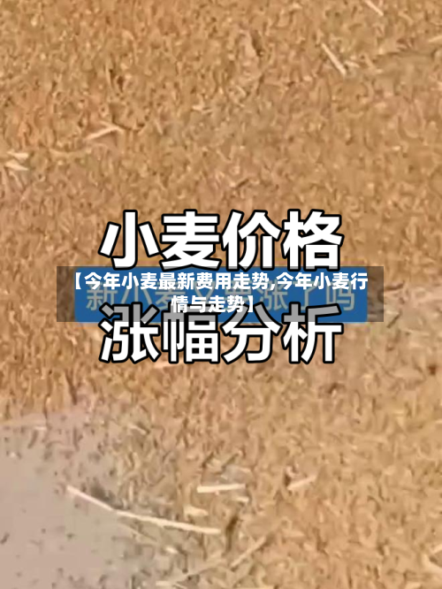 【今年小麦最新费用走势,今年小麦行情与走势】-第2张图片