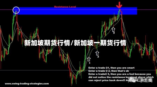 新加坡期货行情/新加坡一期货行情