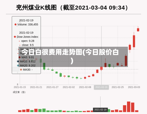 今日白很费用走势图(今日股价白)-第2张图片
