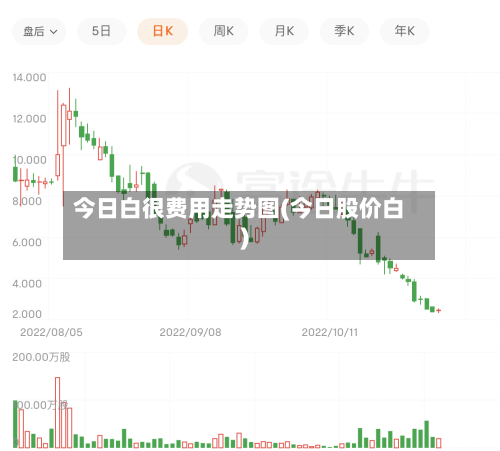 今日白很费用走势图(今日股价白)