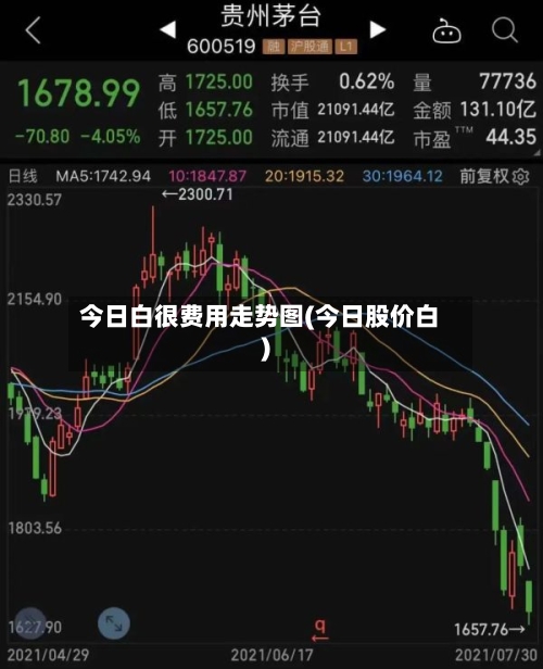 今日白很费用走势图(今日股价白)-第3张图片