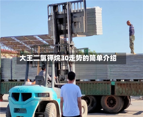 大王二氯钾烷30走势的简单介绍