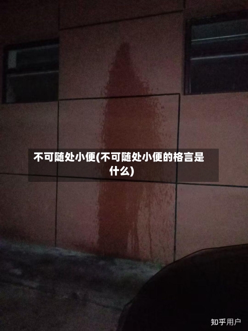 不可随处小便(不可随处小便的格言是什么)