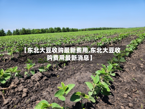 【东北大豆收购最新费用,东北大豆收购费用最新消息】-第3张图片