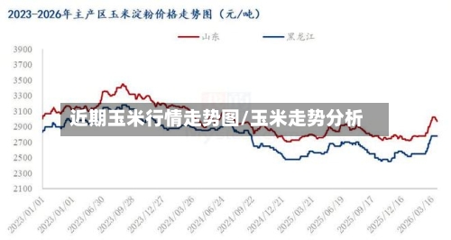 近期玉米行情走势图/玉米走势分析-第2张图片