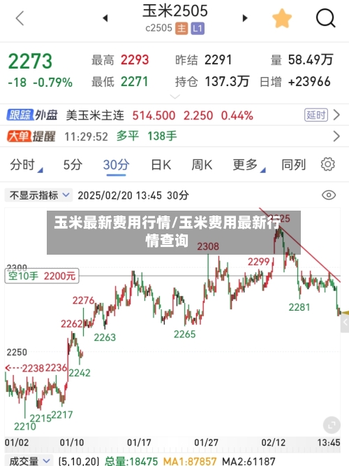 玉米最新费用行情/玉米费用最新行情查询