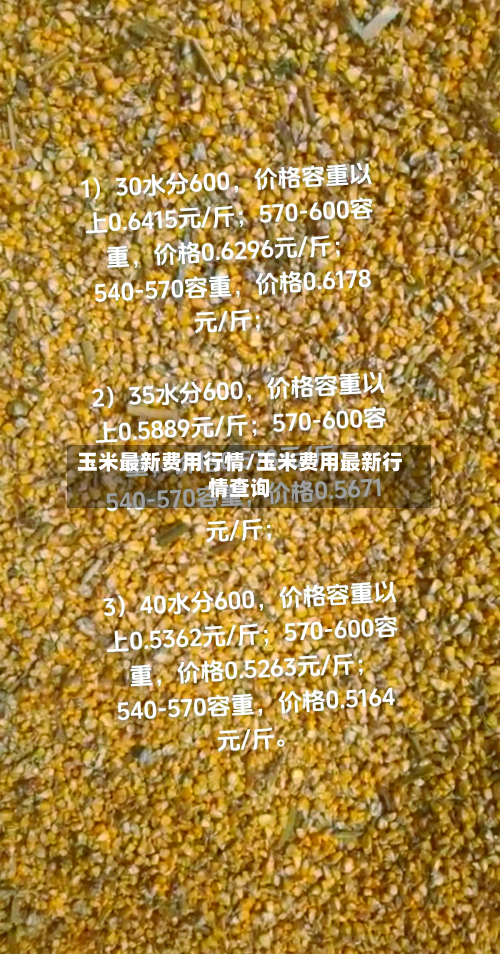 玉米最新费用行情/玉米费用最新行情查询-第2张图片