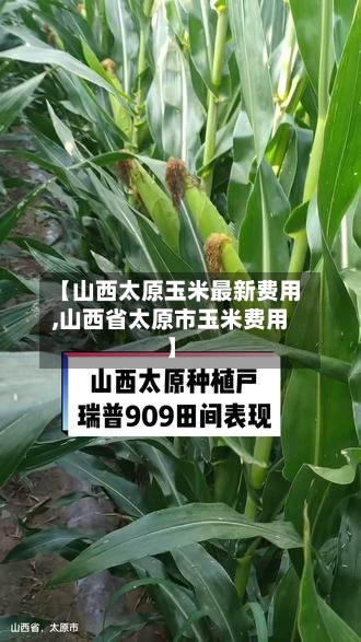 【山西太原玉米最新费用,山西省太原市玉米费用】