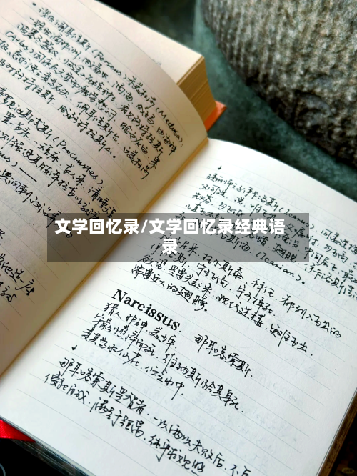 文学回忆录/文学回忆录经典语录