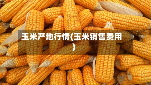 玉米产地行情(玉米销售费用)-第2张图片