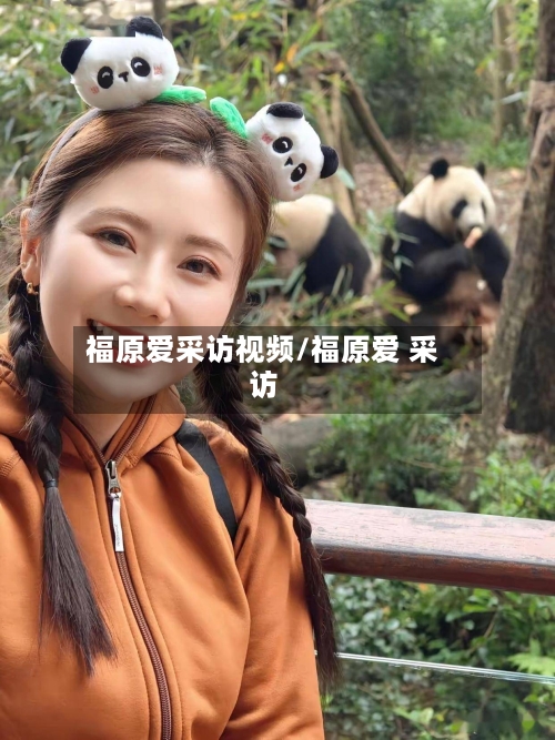 福原爱采访视频/福原爱 采访-第2张图片