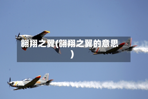 翱翔之翼(翱翔之翼的意思)-第2张图片