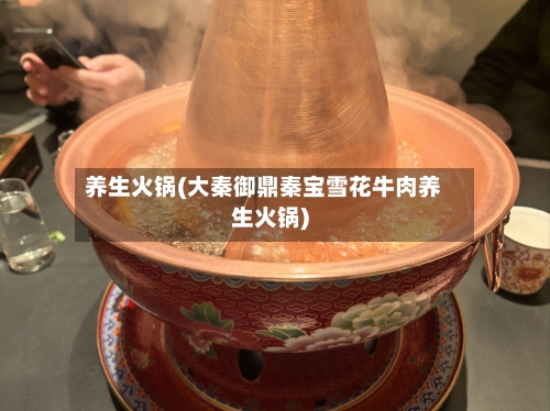 养生火锅(大秦御鼎秦宝雪花牛肉养生火锅)