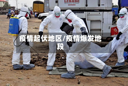 疫情起伏地区/疫情爆发地段