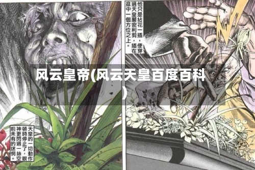 风云皇帝(风云天皇百度百科)