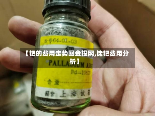 【钯的费用走势图金投网,铑钯费用分析】