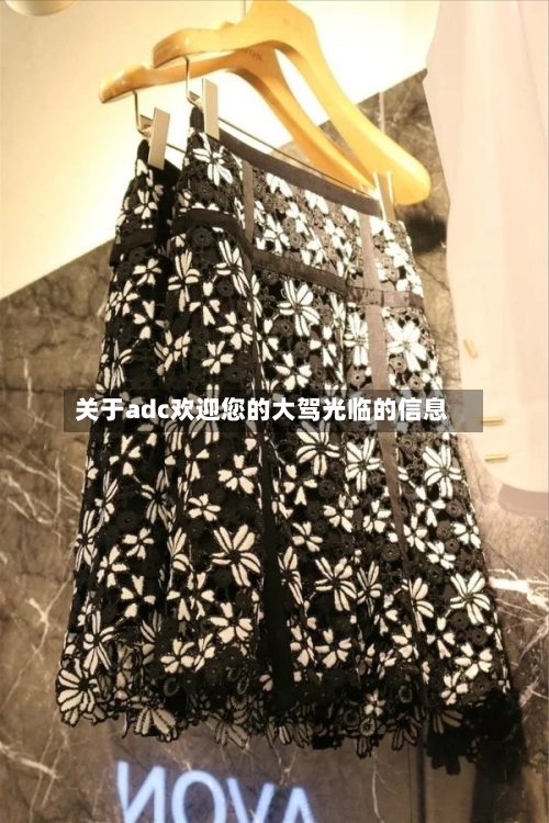 关于adc欢迎您的大驾光临的信息-第2张图片