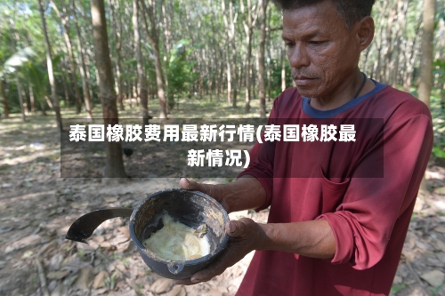 泰国橡胶费用最新行情(泰国橡胶最新情况)