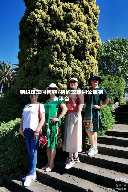 相约玫瑰园博客/相约玫瑰园公益相亲平台