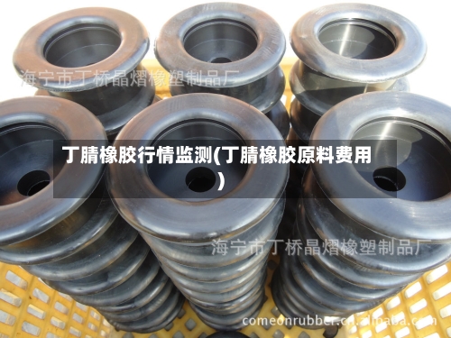 丁腈橡胶行情监测(丁腈橡胶原料费用)