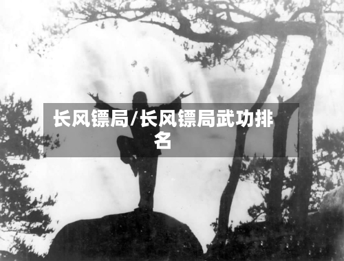 长风镖局/长风镖局武功排名