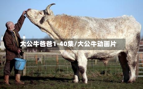 大公牛爸爸1-40集/大公牛动画片-第2张图片