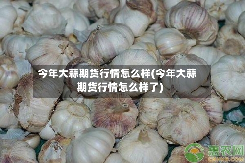 今年大蒜期货行情怎么样(今年大蒜期货行情怎么样了)-第2张图片