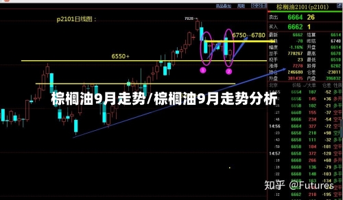 棕榈油9月走势/棕榈油9月走势分析-第2张图片