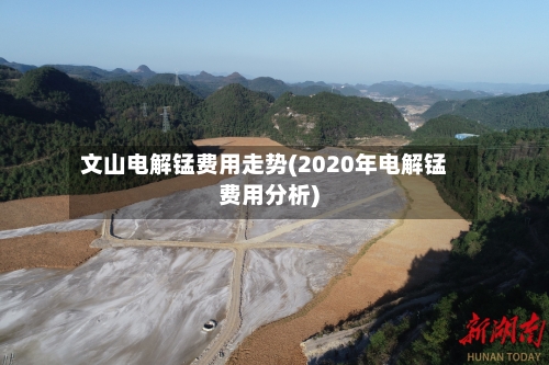 文山电解锰费用走势(2020年电解锰费用分析)-第3张图片