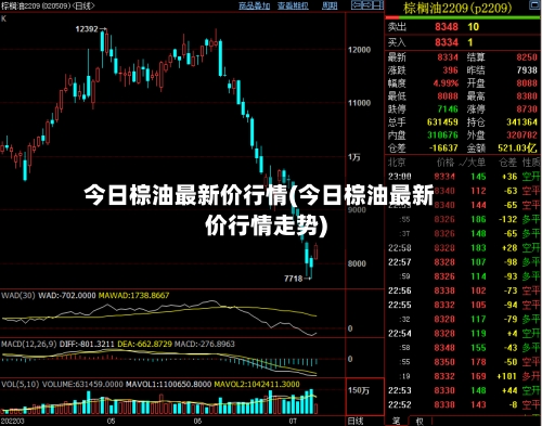 今日棕油最新价行情(今日棕油最新价行情走势)