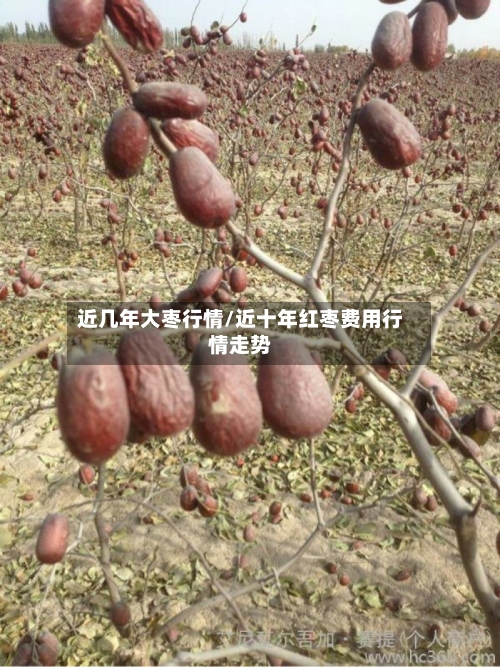 近几年大枣行情/近十年红枣费用行情走势-第3张图片