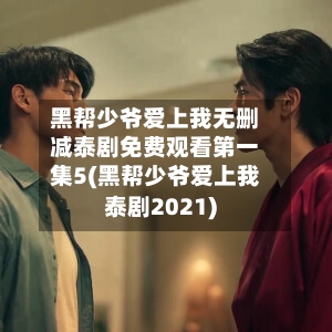 黑帮少爷爱上我无删减泰剧免费观看第一集5(黑帮少爷爱上我泰剧2021)-第2张图片
