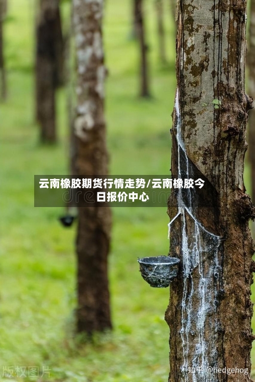 云南橡胶期货行情走势/云南橡胶今日报价中心