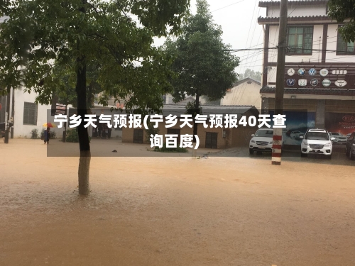 宁乡天气预报(宁乡天气预报40天查询百度)-第3张图片