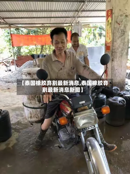 【泰国橡胶弃割最新消息,泰国橡胶弃割最新消息新闻】