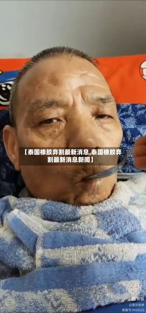 【泰国橡胶弃割最新消息,泰国橡胶弃割最新消息新闻】-第2张图片