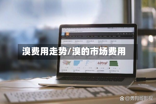 溴费用走势/溴的市场费用