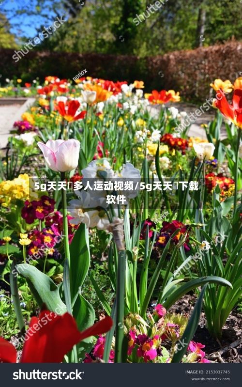 5g天天奭多人运动视频/5g天天奭下载软件