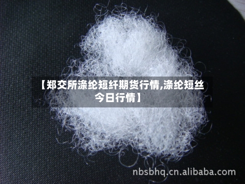 【郑交所涤纶短纤期货行情,涤纶短丝今日行情】-第3张图片