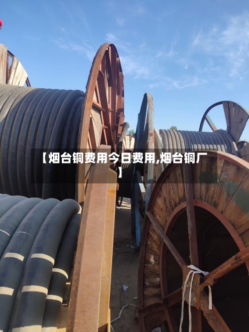 【烟台铜费用今日费用,烟台铜厂】