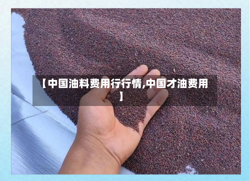 【中国油料费用行行情,中国才油费用】
