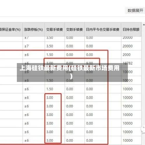 上海硅铁最新费用(硅铁最新市场费用)-第2张图片