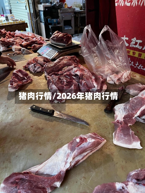 猪肉行情/2026年猪肉行情-第2张图片