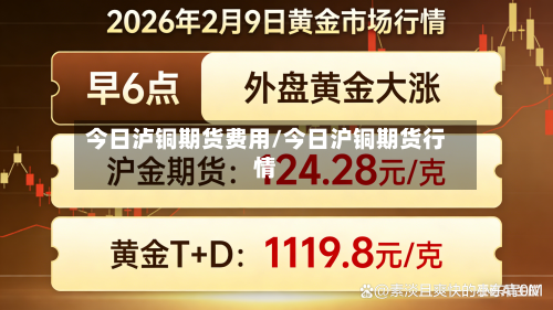 今日泸铜期货费用/今日沪铜期货行情-第2张图片